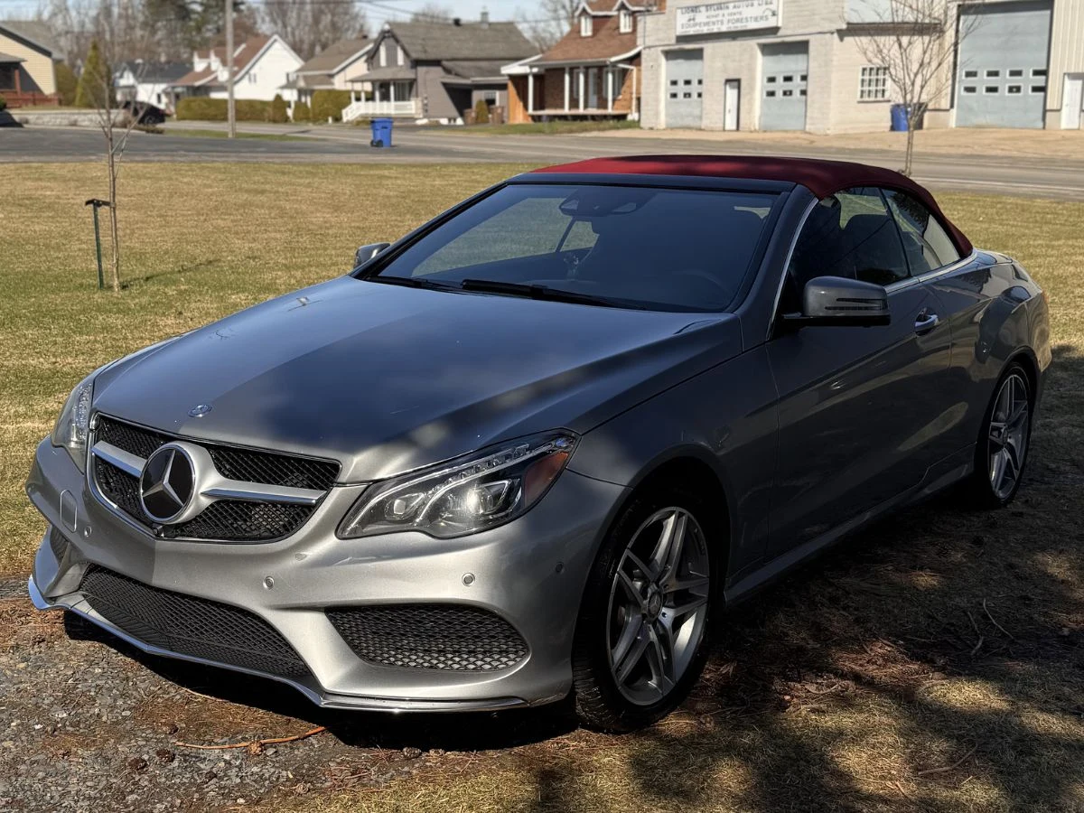 La Renaissance premium